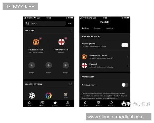 各大联赛排名变化追踪